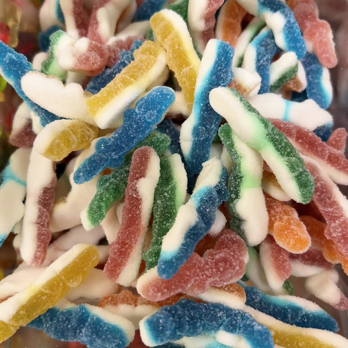 Crocodiles 100g