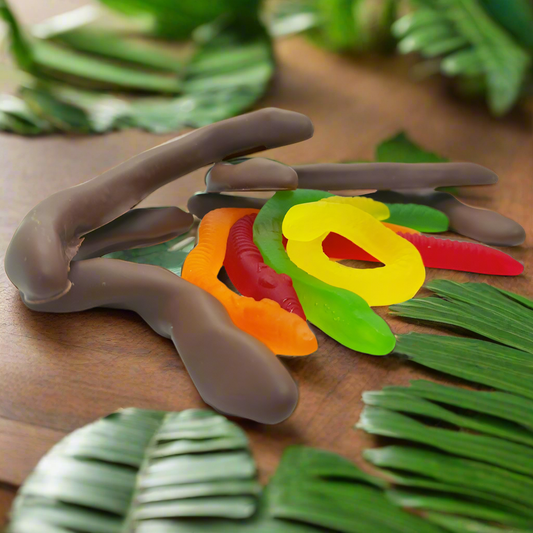 Belgian Choc Coated Allen's Snakes 100g